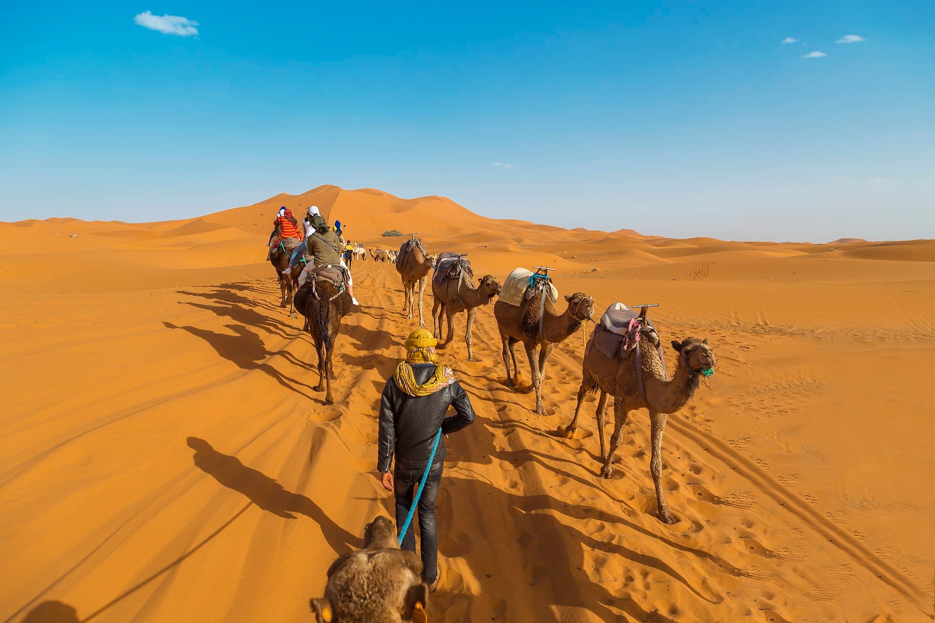 Fethiye Camel Safari: A Gentle Ride to Kayaköy — 3