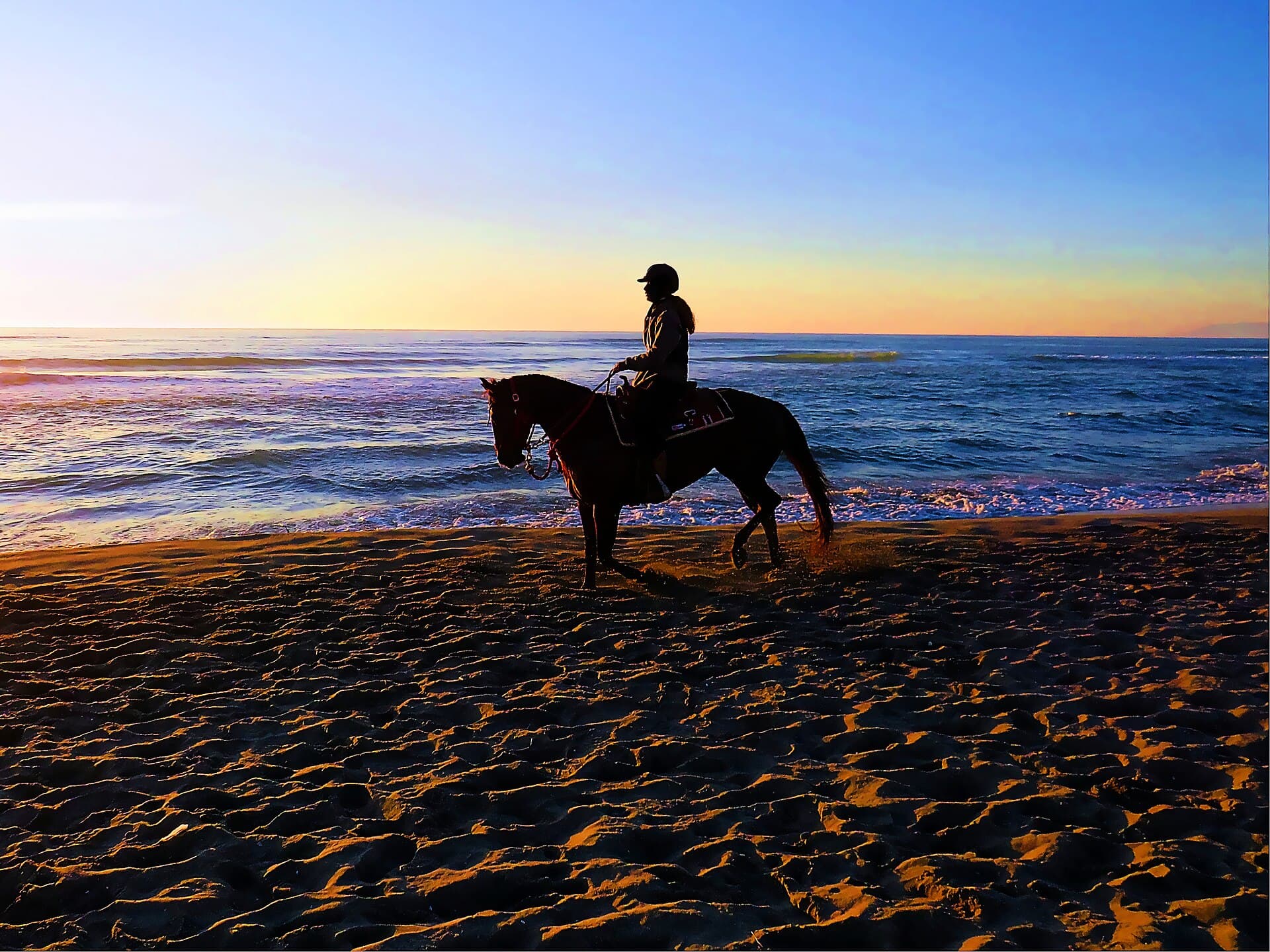 Fethiye Horse Safari: Pine Trails and Ölüdeniz Views — 2